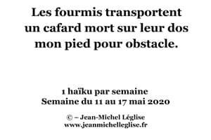 Semaine-du-11-au-17-mai-2020