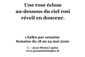 Semaine-du-18-au-24-mai-2020