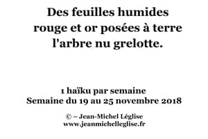 Semaine-du-19-au-25-novembre-2018