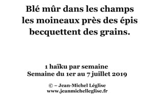 Semaine-du-1er-au-7-juillet-2019