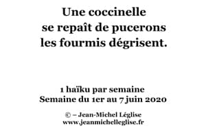 Semaine-du-1er-au-7-juin-2020