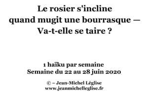 Semaine-du-22-au-28-juin-2020