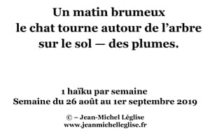 Semaine-du-26-août-au-1er-septembre-2019