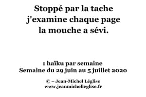 Semaine-du-29-juin-au-5-juillet-2020