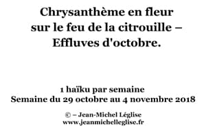 Semaine-du-29-octobre-au-4-novembre-2018