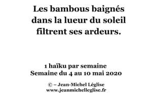Semaine-du-4-au-10-mai-2020
