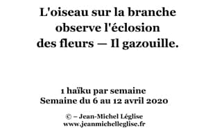 Semaine-du-6-au-12-avril-2020