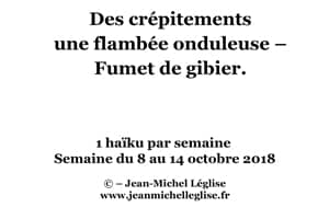 Semaine-du-8-au-14-octobre-2018