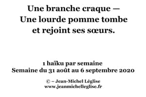 Semaine-du-31-août-au-6-septembre-2020