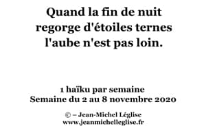 Semaine-du-2-au-8-novembre-2020