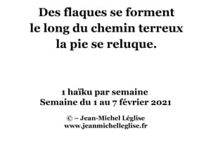 Semaine-du-1-au-7-février-2021