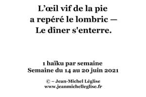 Semaine-du-14-au-20-juin-2021