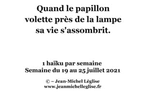 Semaine-du-19-au-25-juillet-2021